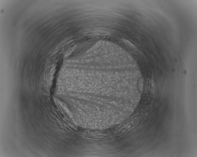 X0000081430774200702021651