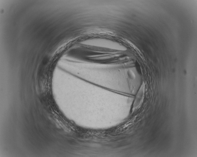 X0000081430775200702021651