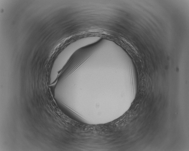 X0000081430776200702021651