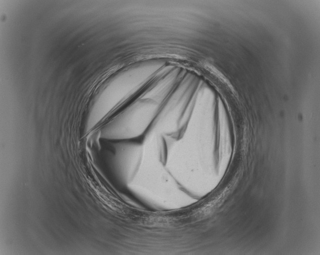 X0000081430777200702021651