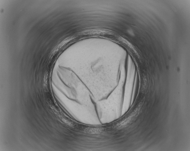 X0000081430778200702021651