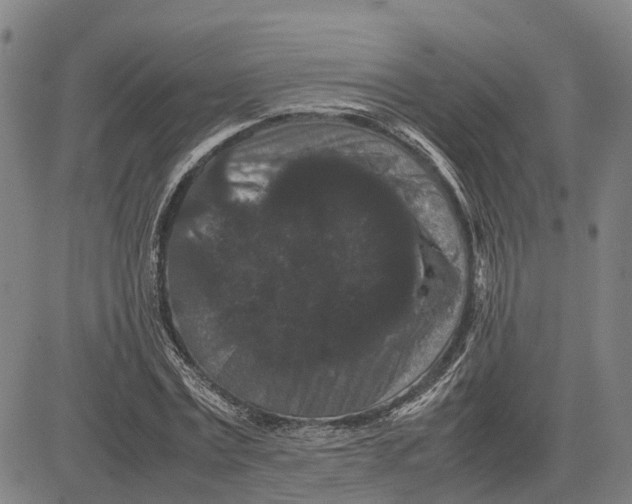 X0000081430779200702021651