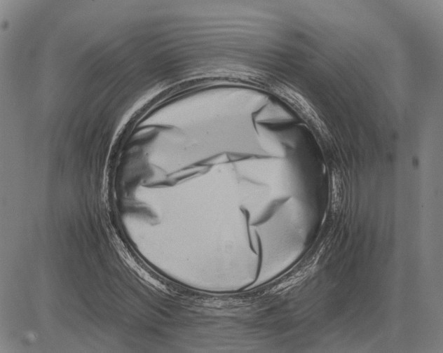 X0000081430780200702021651