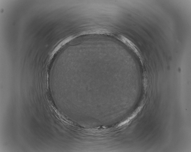 X0000081430781200702021651