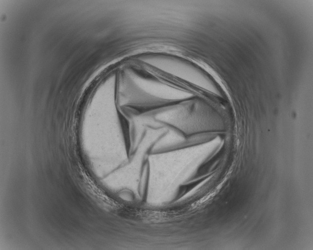 X0000081430783200702021651