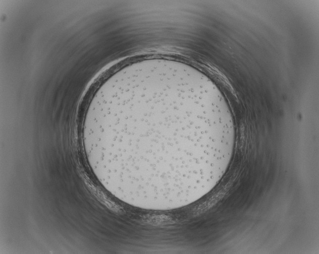 X0000081430784200702021651