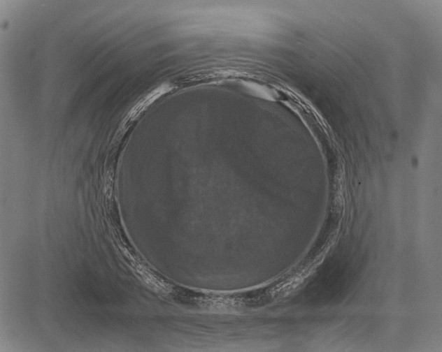 X0000081430785200702021651