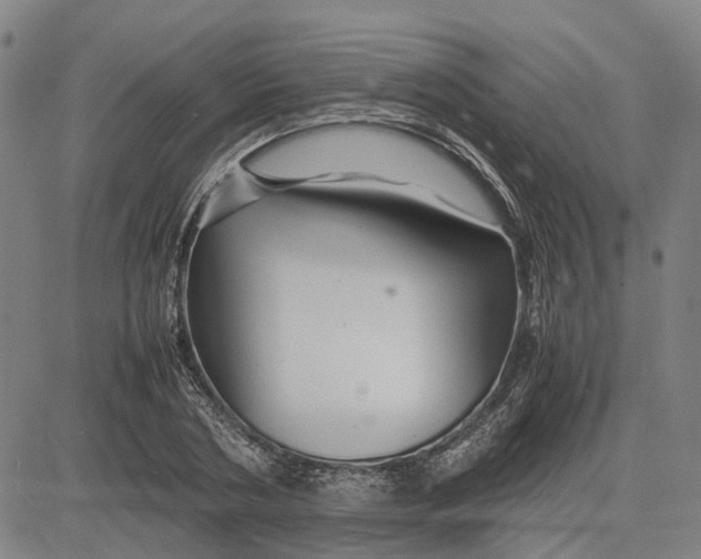 X0000081430786200702021651