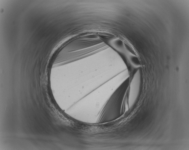 X0000081430787200702021651