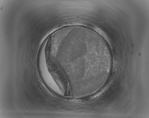 X0000081430789200702021651