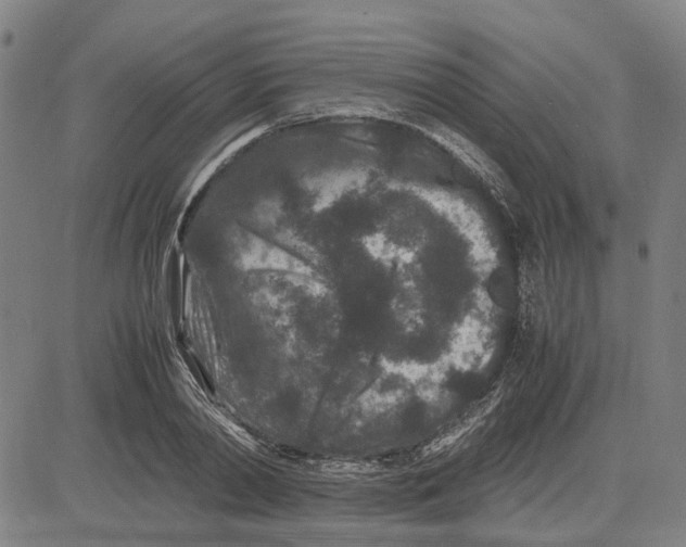 X0000081430790200702021651