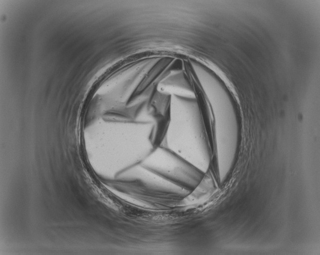 X0000081430791200702021651