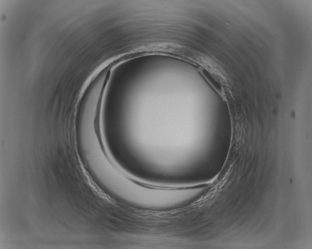 X0000081430792200702021651