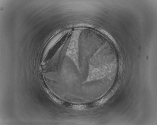 X0000081430793200702021651