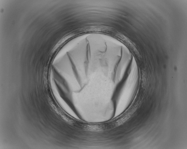 X0000081430794200702021651