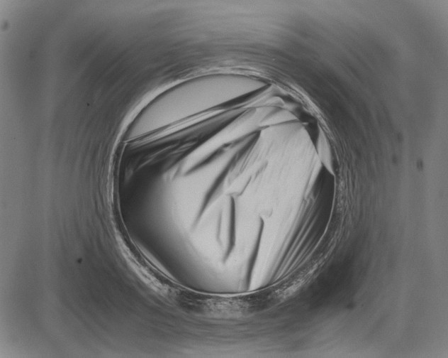 X0000081430795200702021651