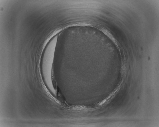 X0000081430797200702021651