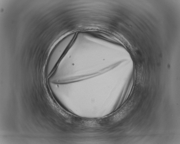 X0000081430798200702021651