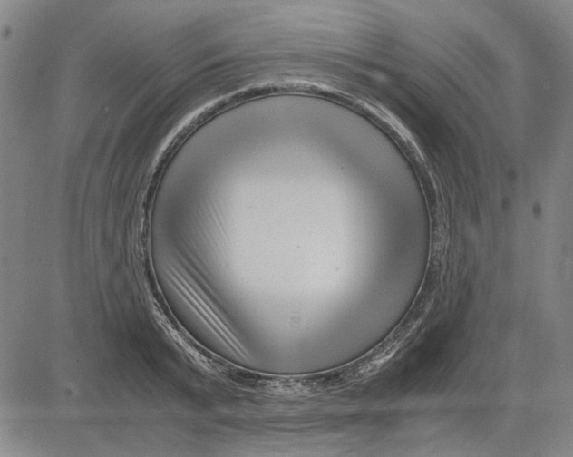 X0000081430799200702021651