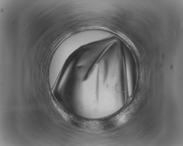 X0000081430801200702021651