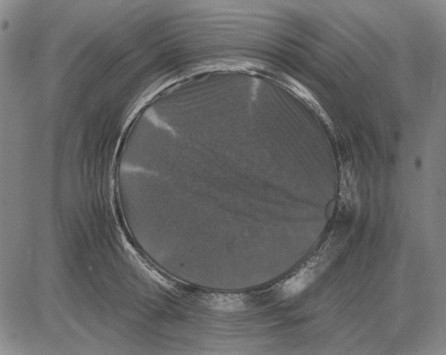 X0000081430802200702021651