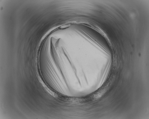 X0000081430803200702021651