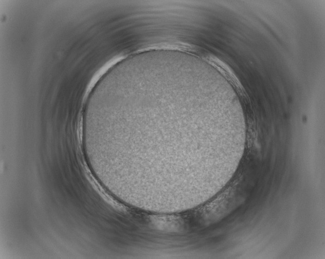 X0000081430804200702021651