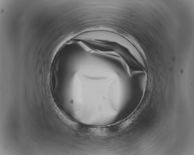 X0000081430805200702021651