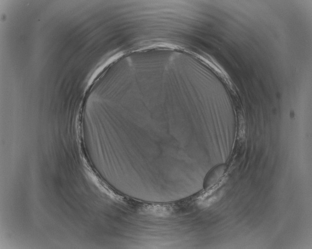 X0000081430806200702021651