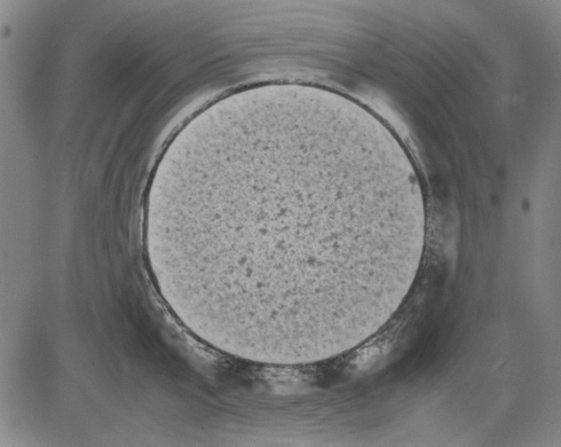 X0000081430807200702021651