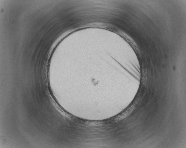 X0000081430808200702021651