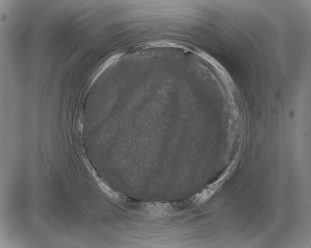 X0000081430809200702021651