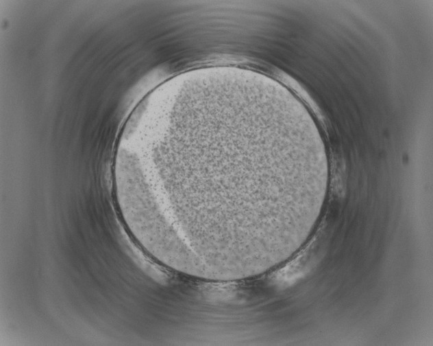 X0000081430810200702021651