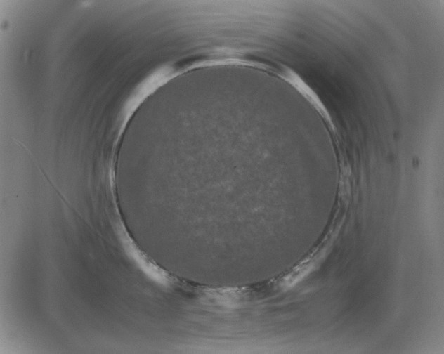 X0000081430813200702021651