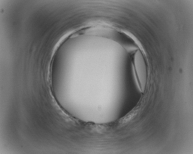 X0000081430815200702021651