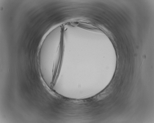 X0000081430816200702021651