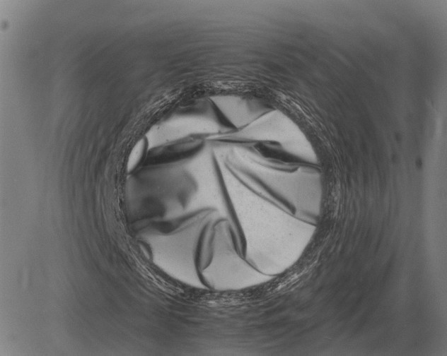 X0000081430817200702021650