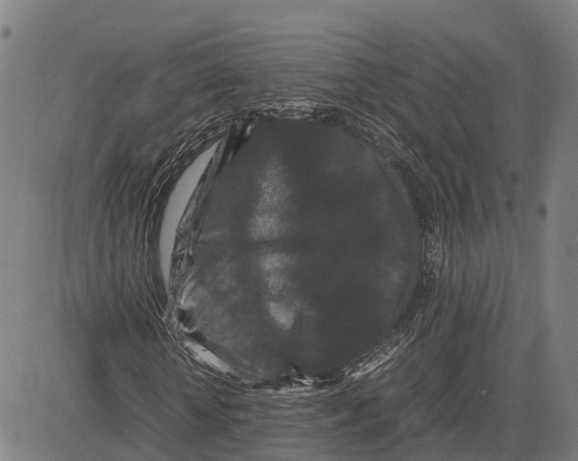 X0000081430818200702021650