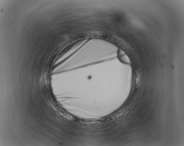 X0000081430819200702021650