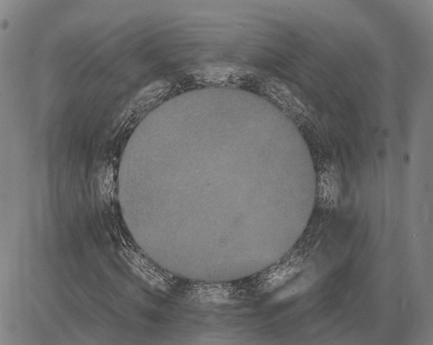 X0000081430820200702021650