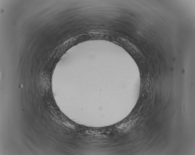 X0000081430821200702021650