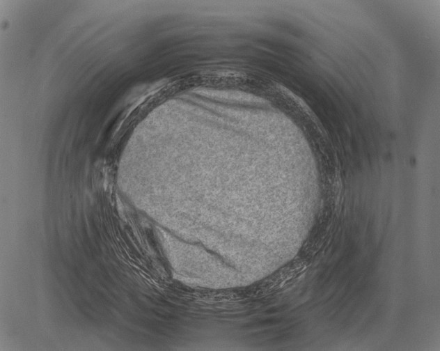 X0000081430823200702021650