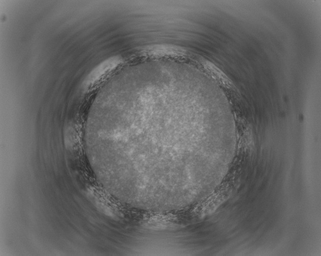 X0000081430824200702021650