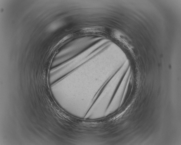 X0000081430825200702021650