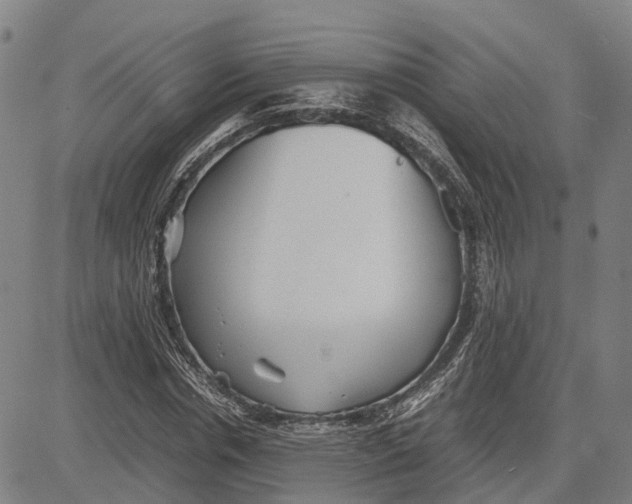 X0000081430826200702021650