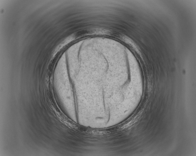 X0000081430827200702021650