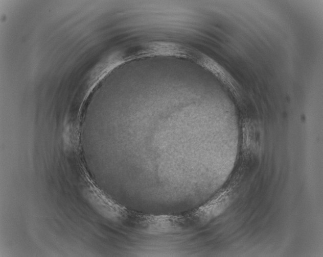 X0000081430828200702021650