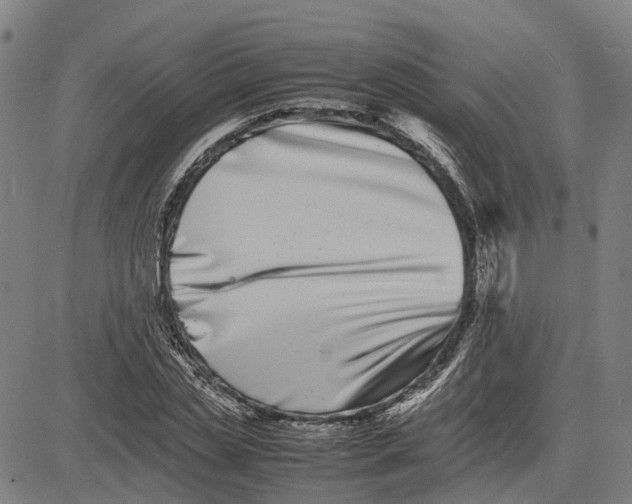 X0000081430829200702021650