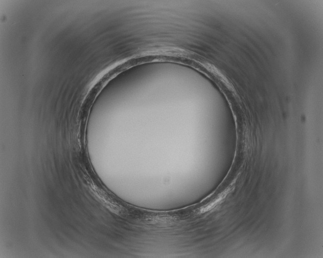 X0000081430830200702021650