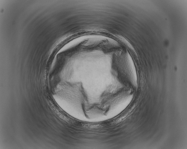 X0000081430831200702021650